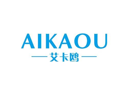 艾卡鸥AIKAOU
