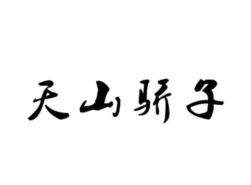 天山骄子