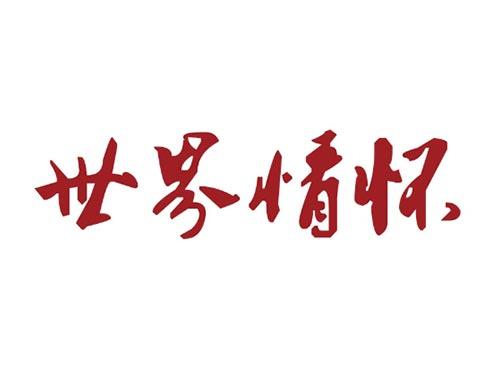 世界情怀