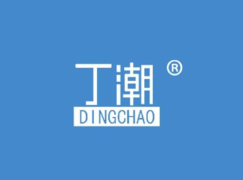 丁潮