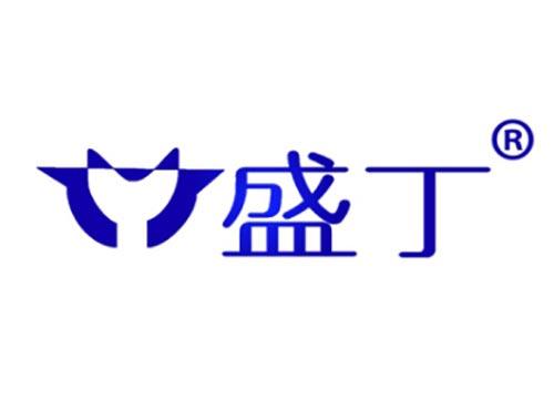 盛丁