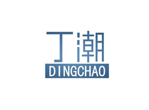 丁潮