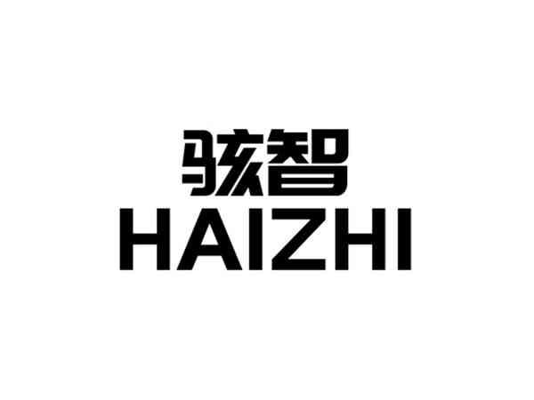骇智