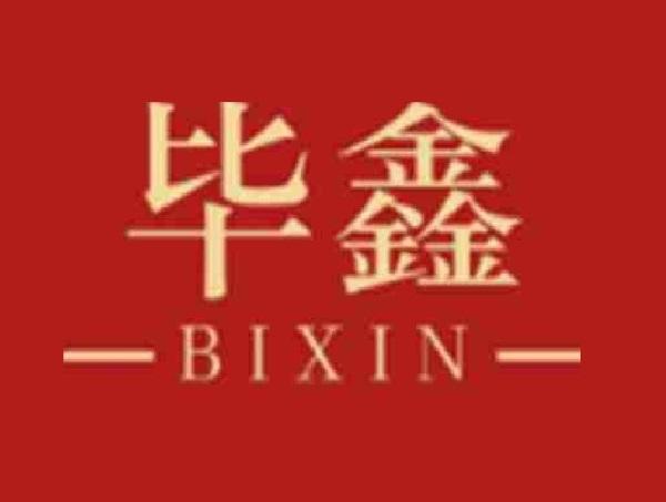 毕鑫