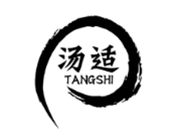 汤适