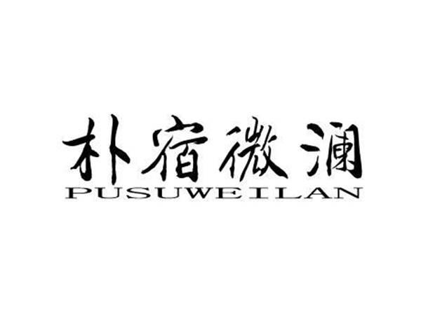 朴宿微澜