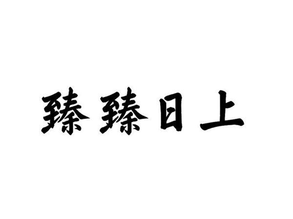 臻臻日上