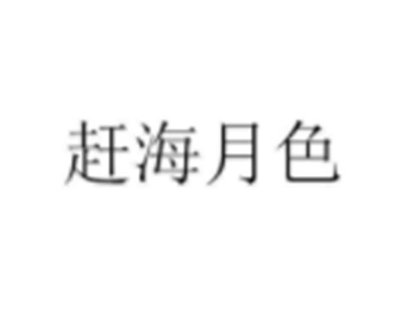 赶海月色