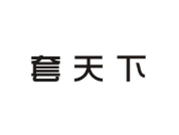 套天下