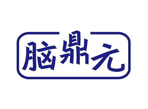 脑鼎元