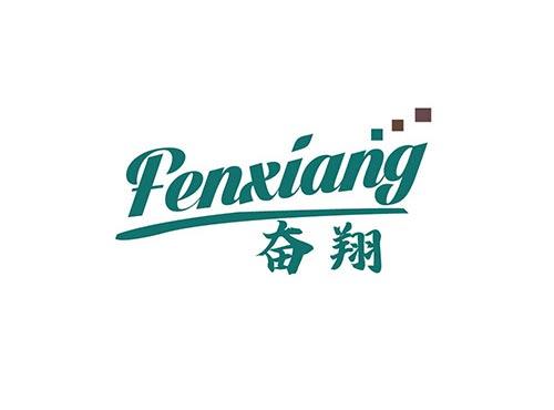 奋翔+FENXIANG