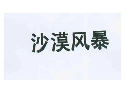 沙漠风暴