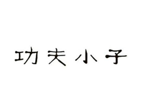 功夫小子