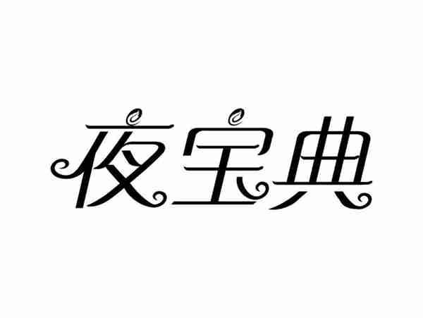 夜宝典