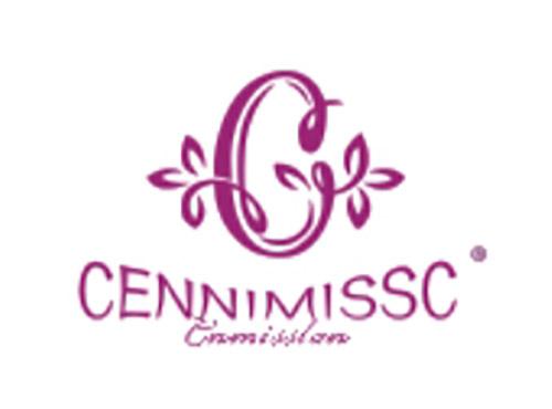 CCENIMISSCCNMISSLAN