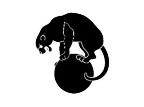 图案