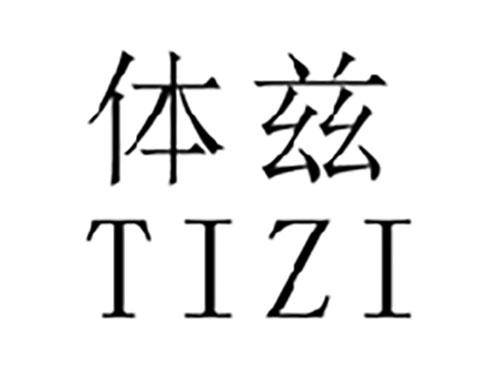 体兹