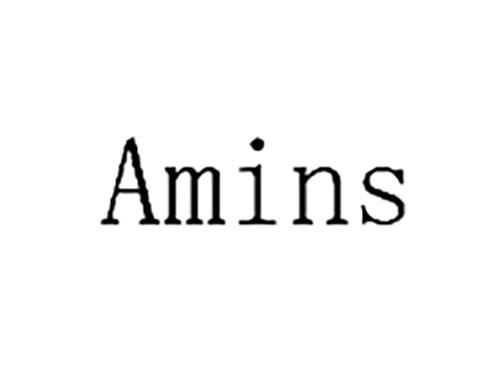 AMINS