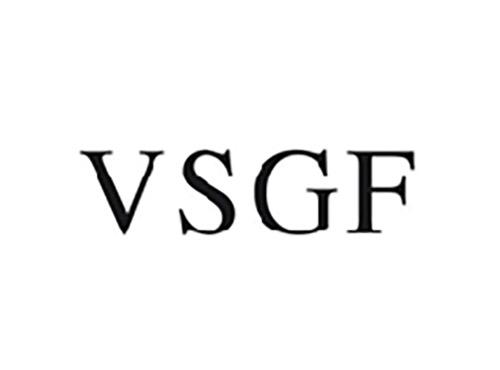 VSGF