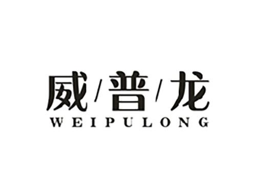 威普龙;WEIPULONG
