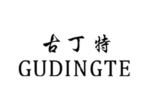 古丁特GUDINGTE