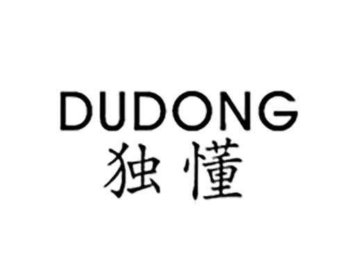独懂DUDONG