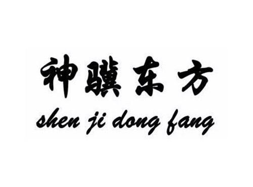 神骥东方SHENJIDONGFANG