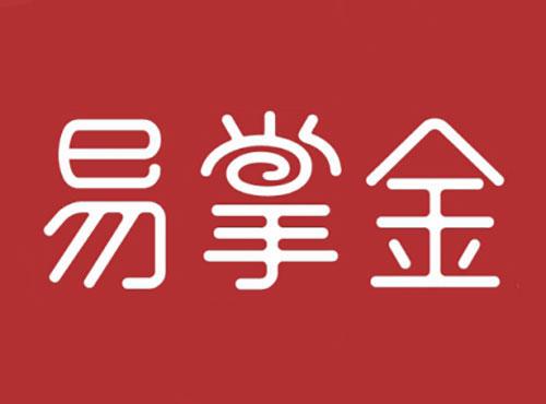 易掌金
