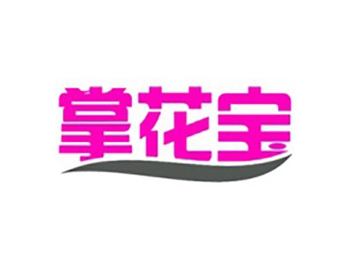 掌花宝