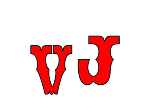 VJ