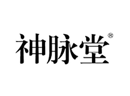 神脉堂