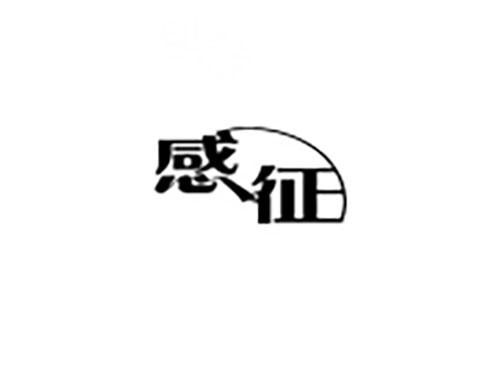 感征