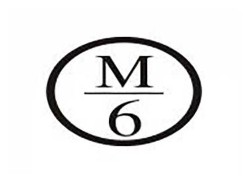 6 M