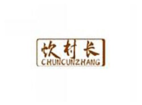 炊村长cuicunzhang