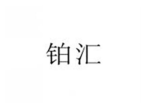 铂汇