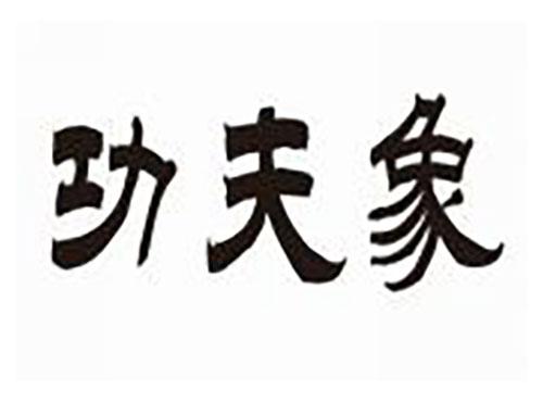 功夫象