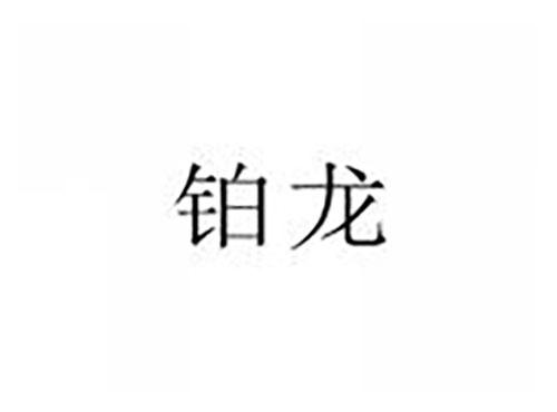 铂龙