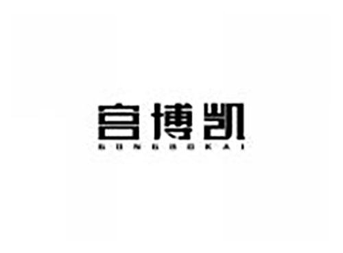 宫博凯