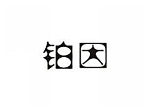 铂因