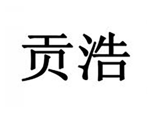 贡浩