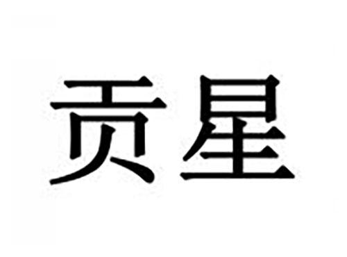 贡星