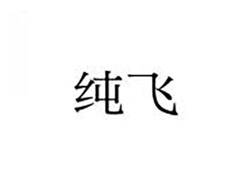 纯飞