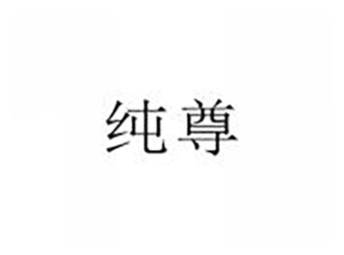 纯尊