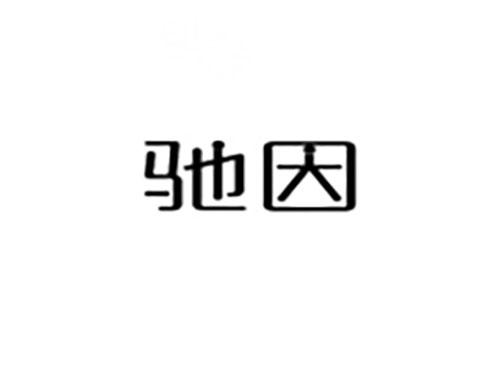 驰因