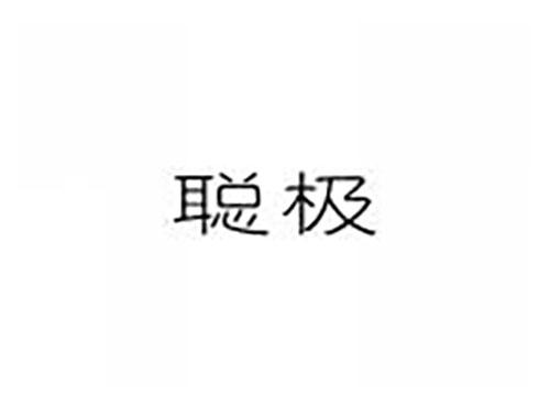聪极