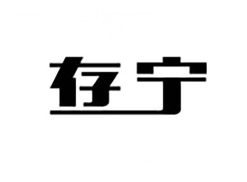 存宁