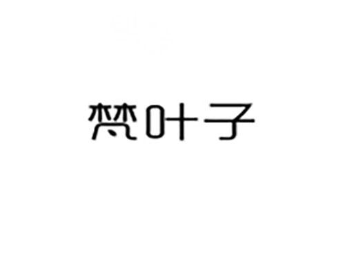 梵叶子