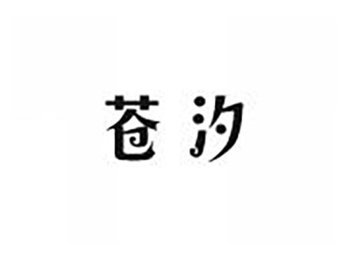 苍汐