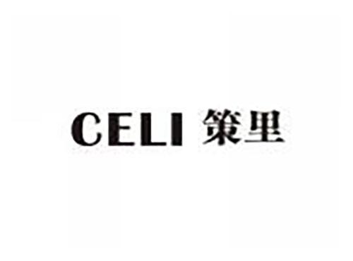 策里
