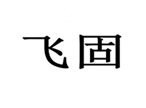 飞固